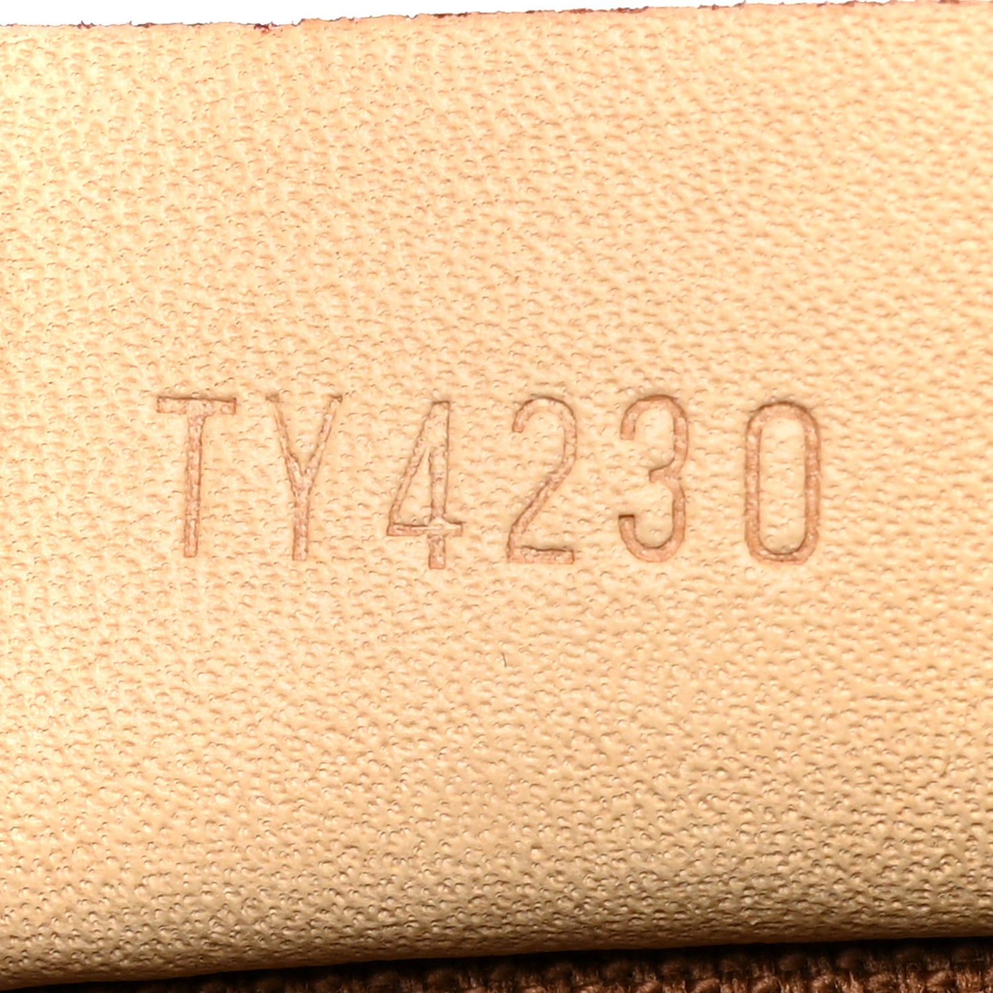 Monogram Nano Speedy