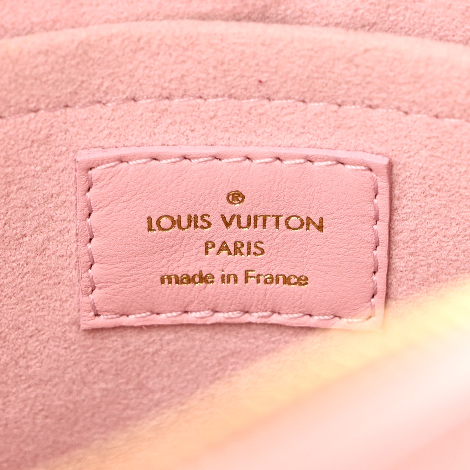 Louis Vuitton Calfskin New Wave Camera Bag Smoothie Pink 6 of 9