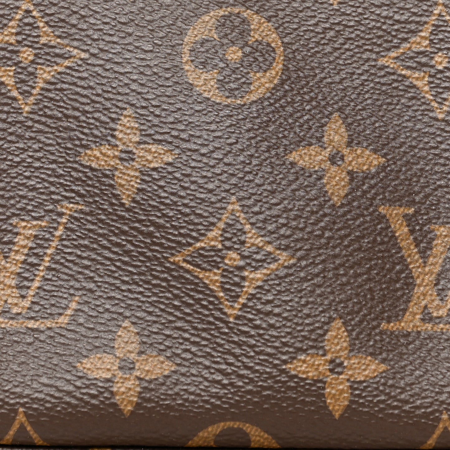 Monogram Mini Pochette Accessories