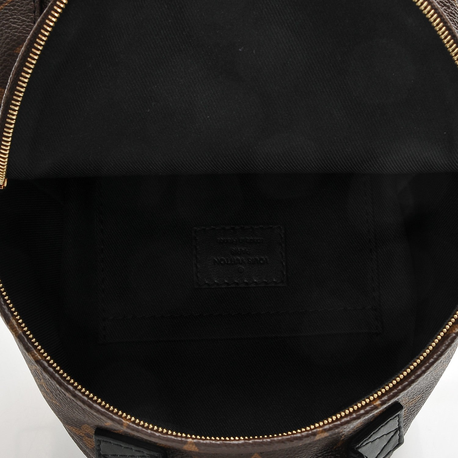 Louis Vuitton Monogram Palm Springs Backpack Mini 5 of 6
