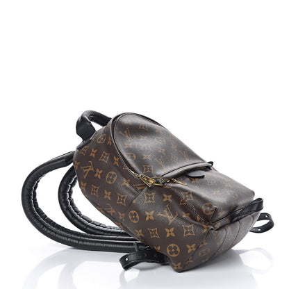 Louis Vuitton Monogram Palm Springs Backpack PM 4 of 8