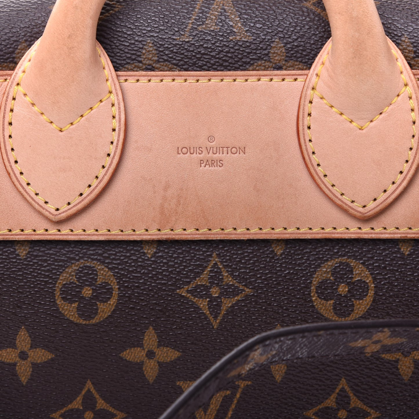 Monogram Eden PM Camel