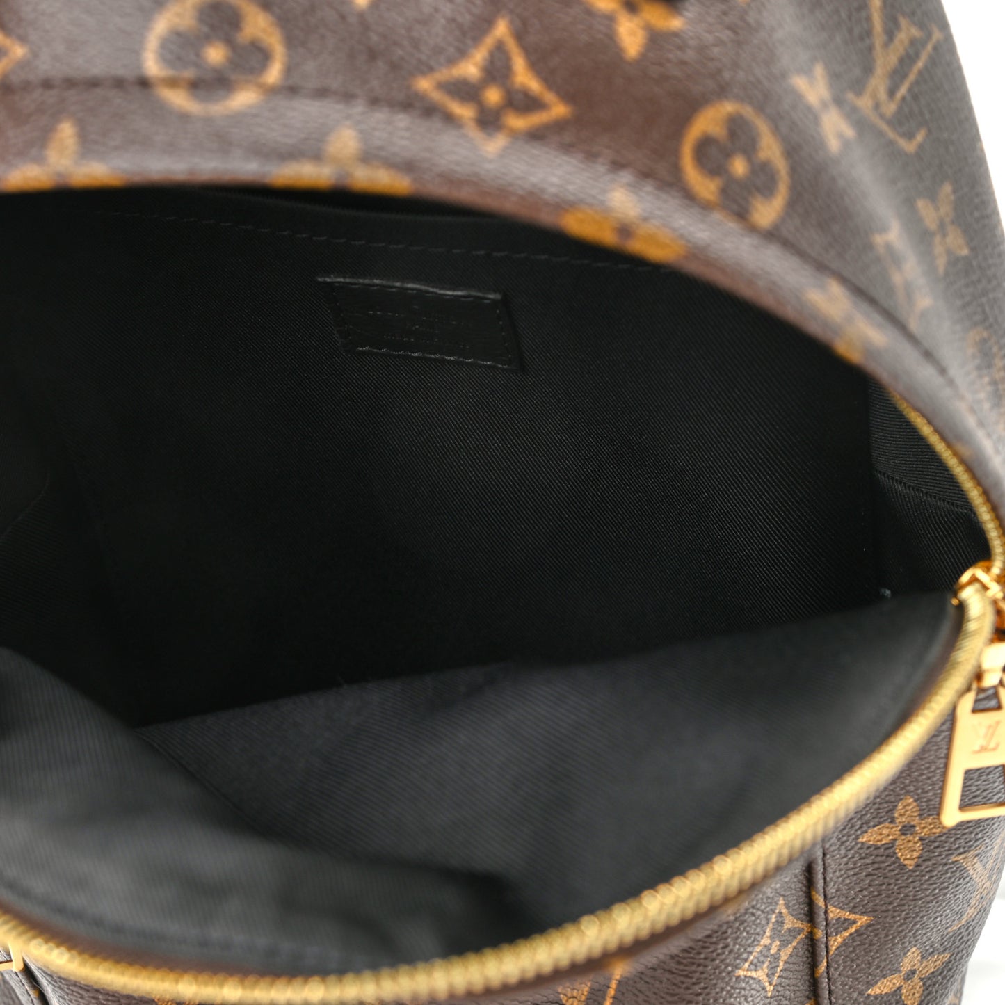 Monogram Palm Springs Backpack PM