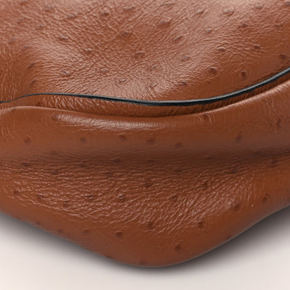 Salvatore Ferragamo Ostrich Reverse Hobo Brown 8 of 9