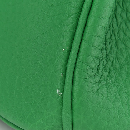 Hermes Togo Birkin 25 Bambou 37 of 38