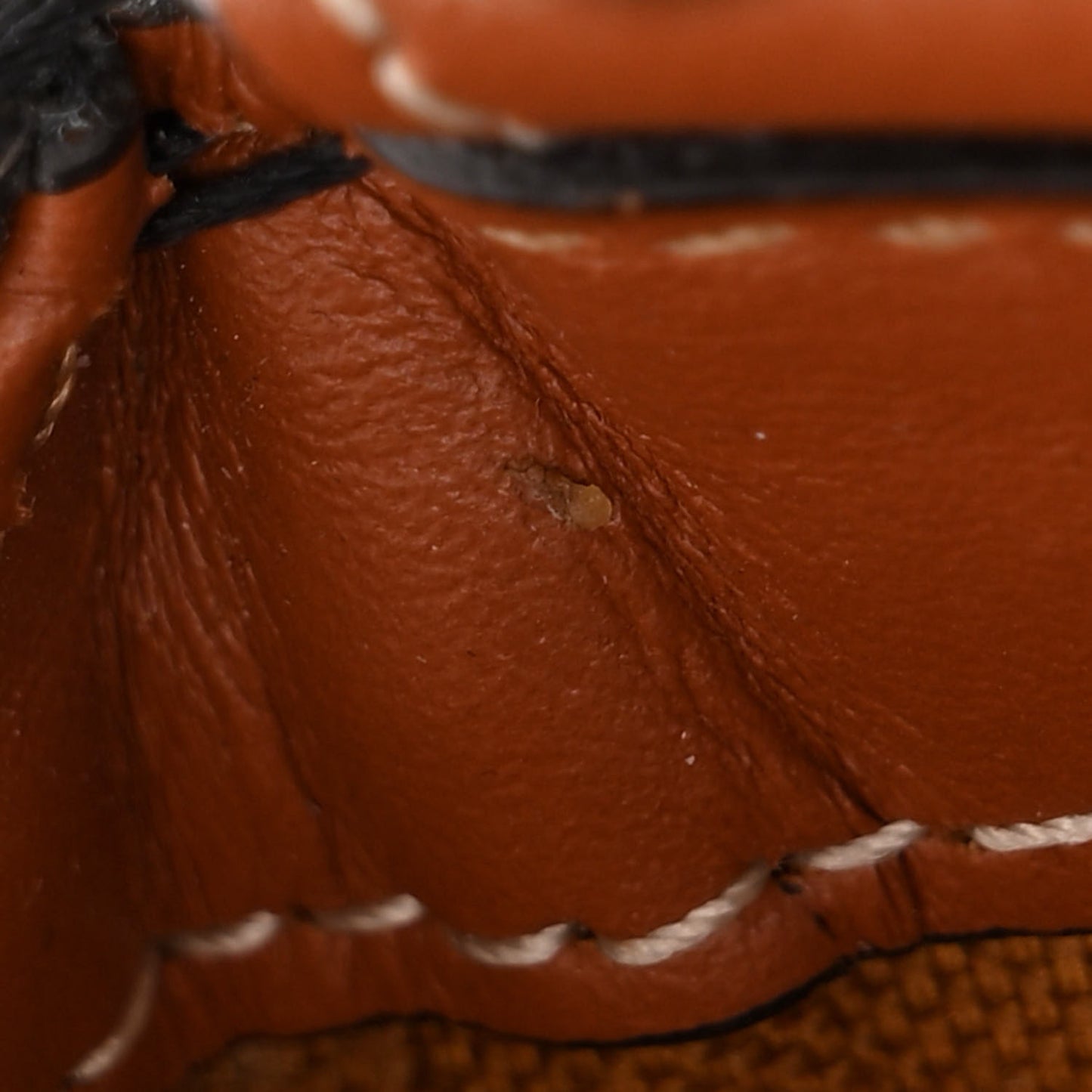 Triomphe Canvas Calfskin Ava Shoulder Bag Tan