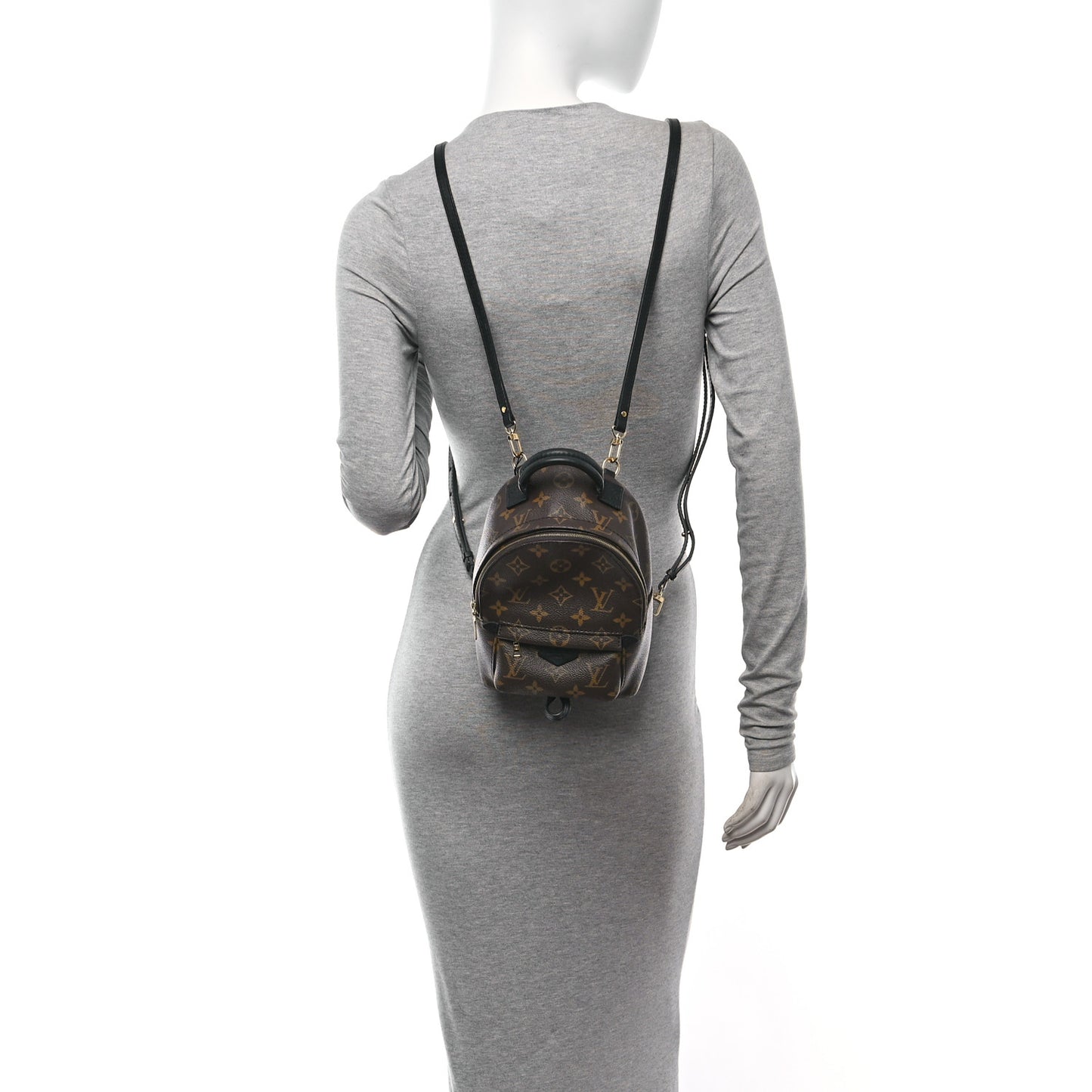 Monogram Palm Springs Backpack Mini