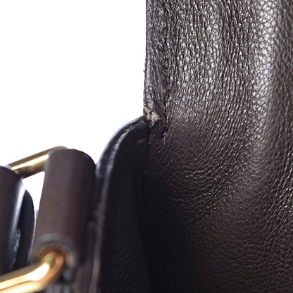 Celine Supersoft Calfskin Medium Trotteur Wood 12 of 21