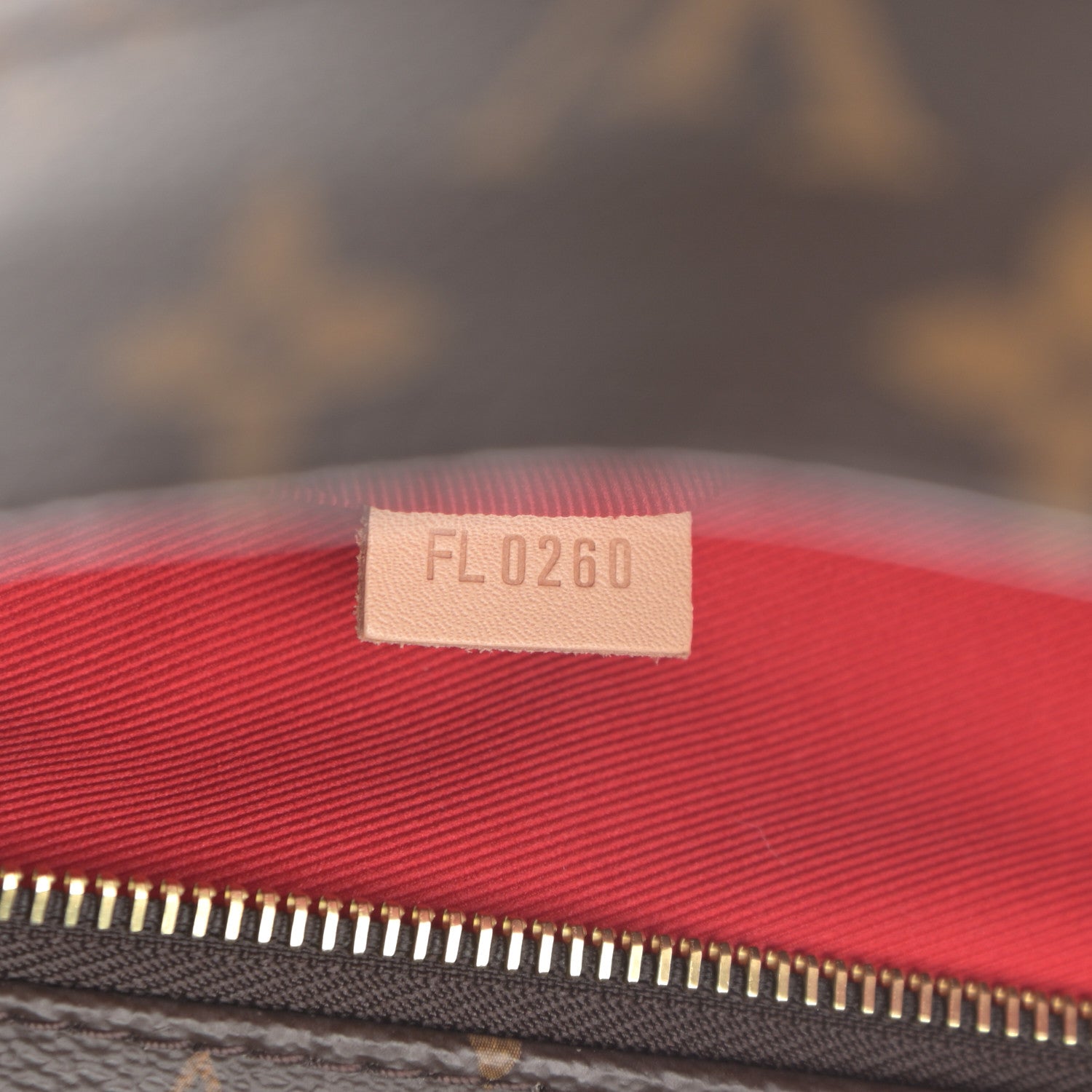 Louis Vuitton Monogram Carry It 8 of 11