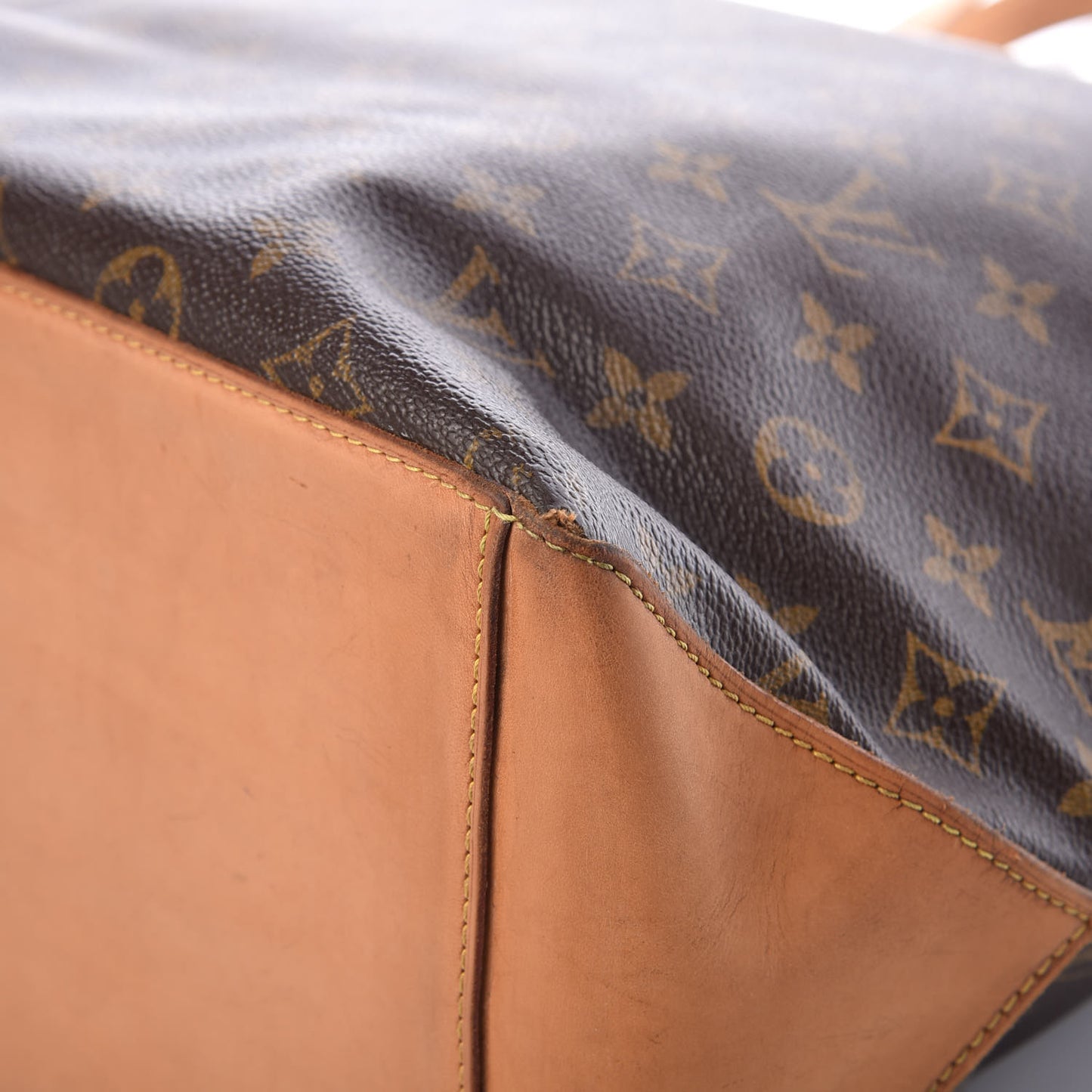 Monogram Cabas Mezzo