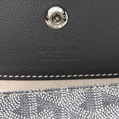 Goyard Goyardine Saint Louis PM Grey 7 of 11