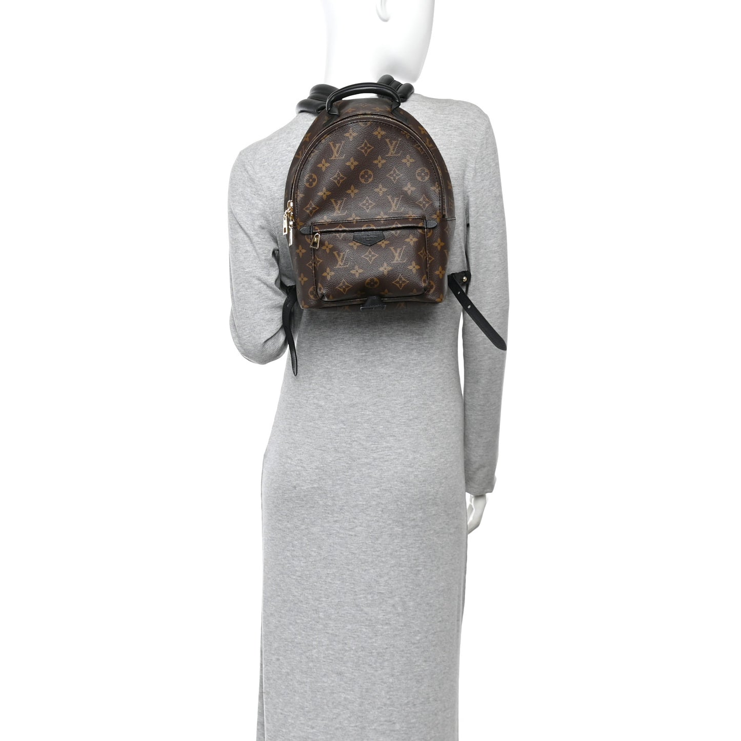Monogram Palm Springs Backpack PM