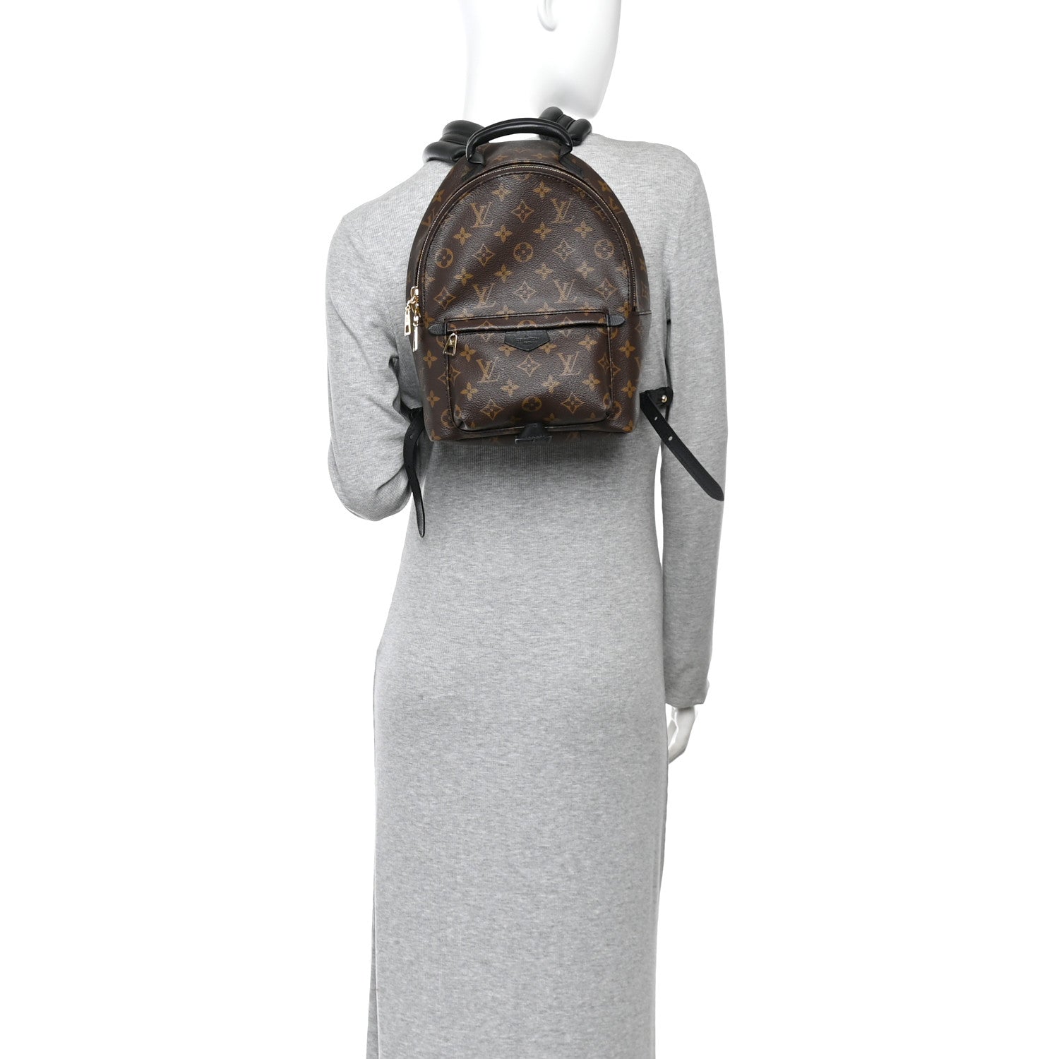 Louis Vuitton Monogram Palm Springs Backpack PM 2 of 10