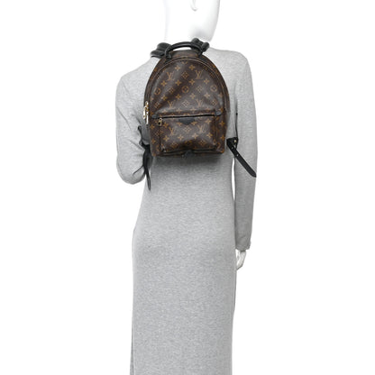 Louis Vuitton Monogram Palm Springs Backpack PM 2 of 10