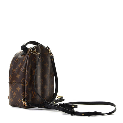 Louis Vuitton Monogram Palm Springs Backpack Mini 2 of 6