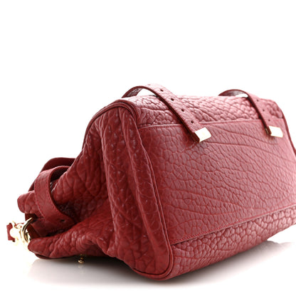 Mulberry Shrunken Calfskin Medium Alexa Red 15 of 16