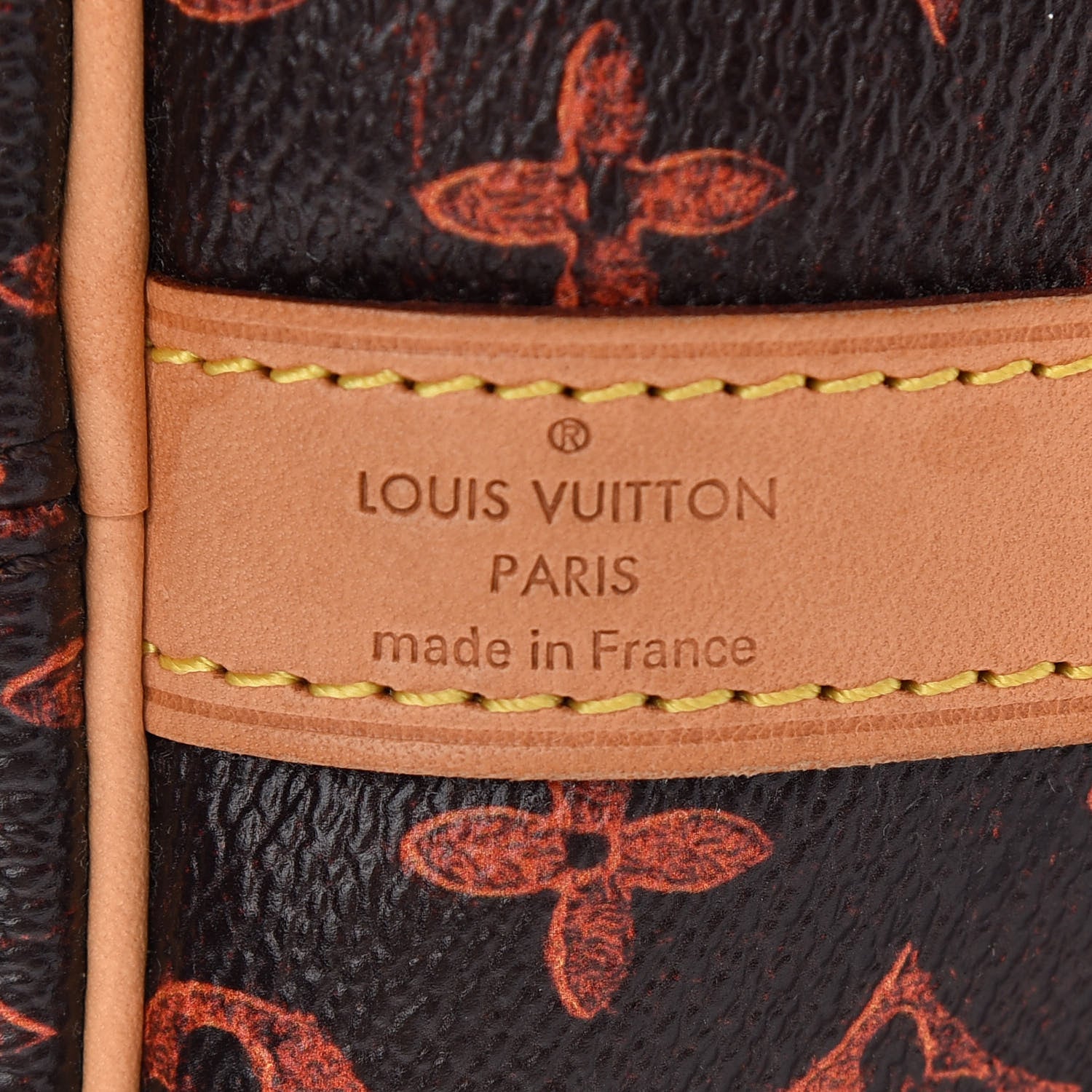Louis Vuitton Catogram Speedy Bandouliere 30 Marron 6 of 9