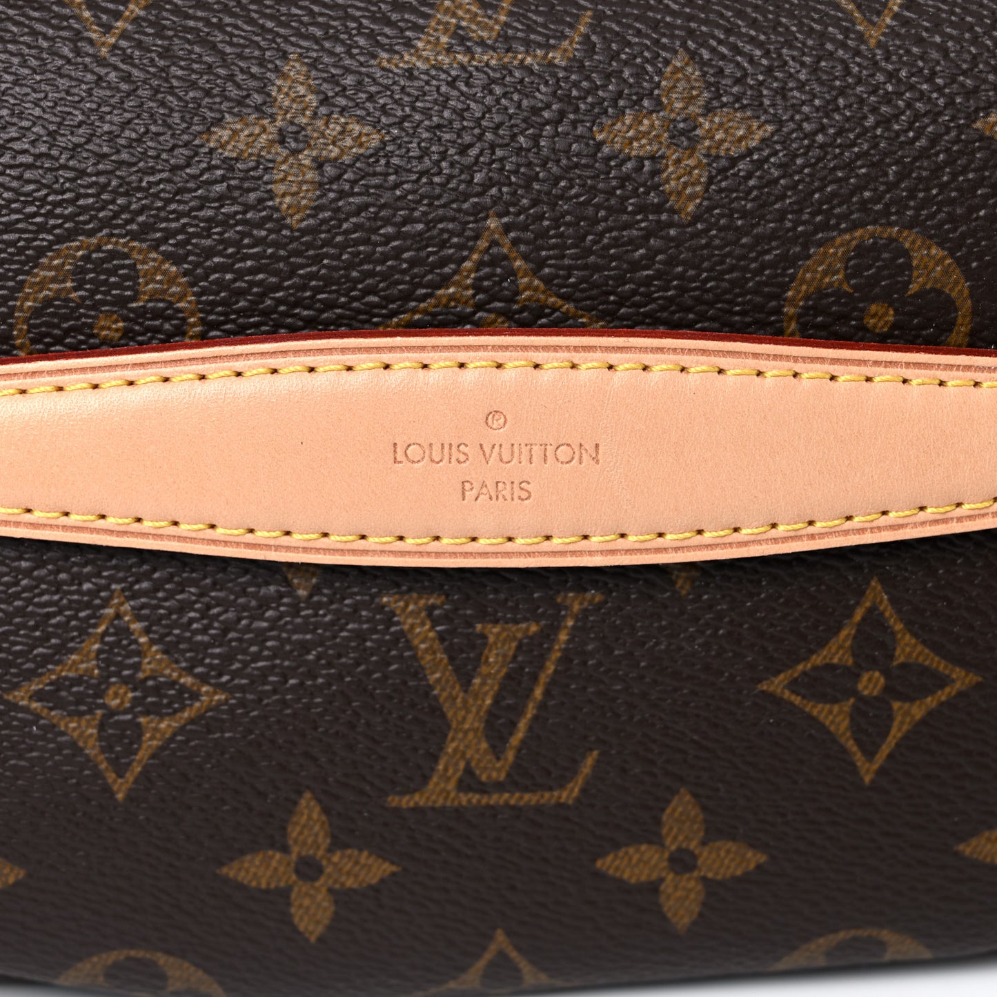 Monogram Bumbag