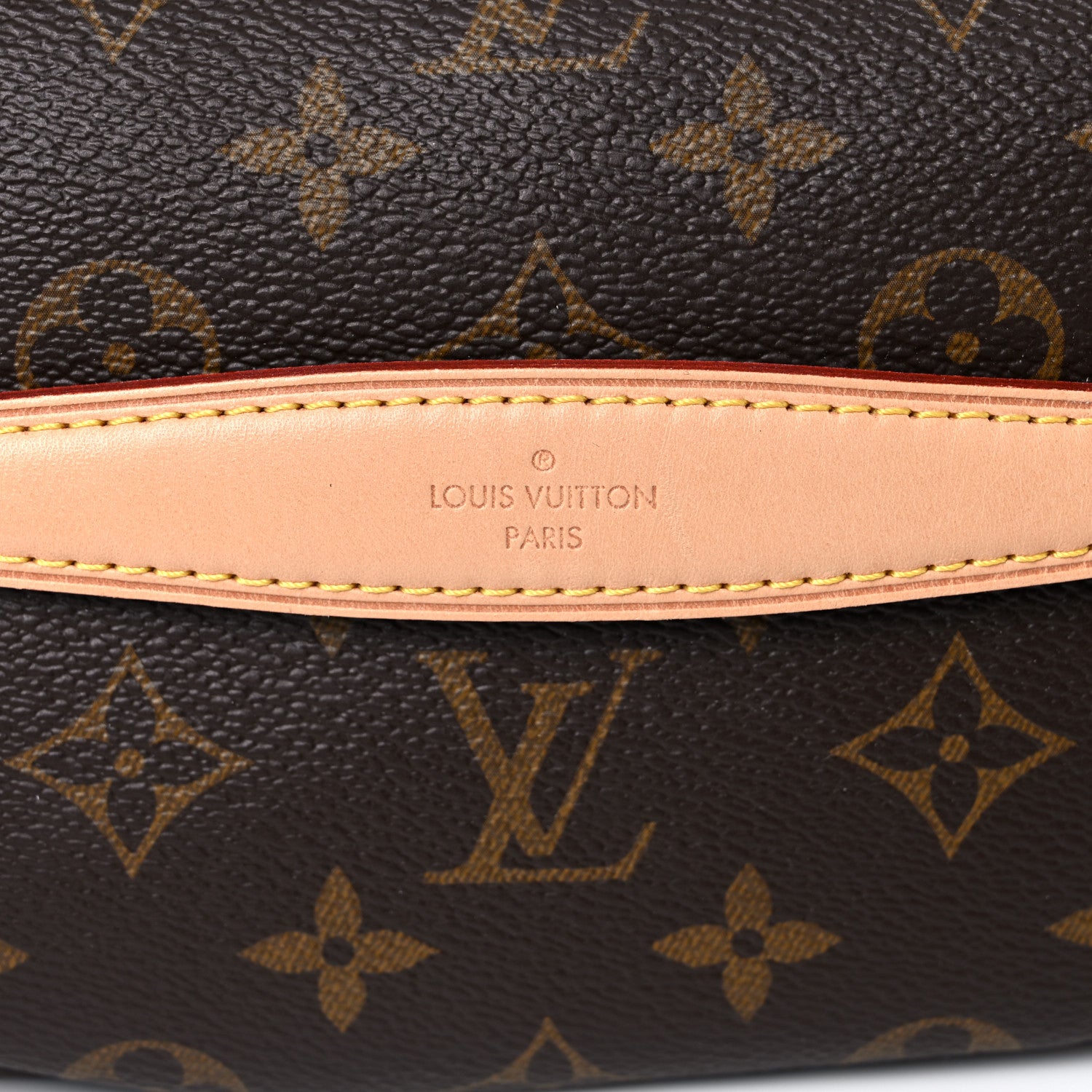 Louis Vuitton Monogram Bumbag 11 of 15