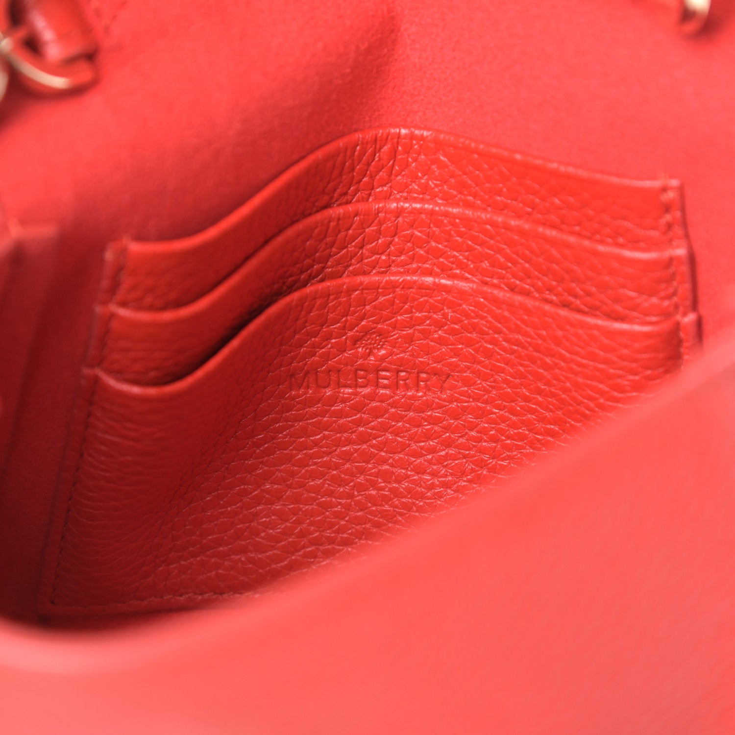 Mulberry Classic Grain Calfskin Mini Lily Hibiscus 6 of 12