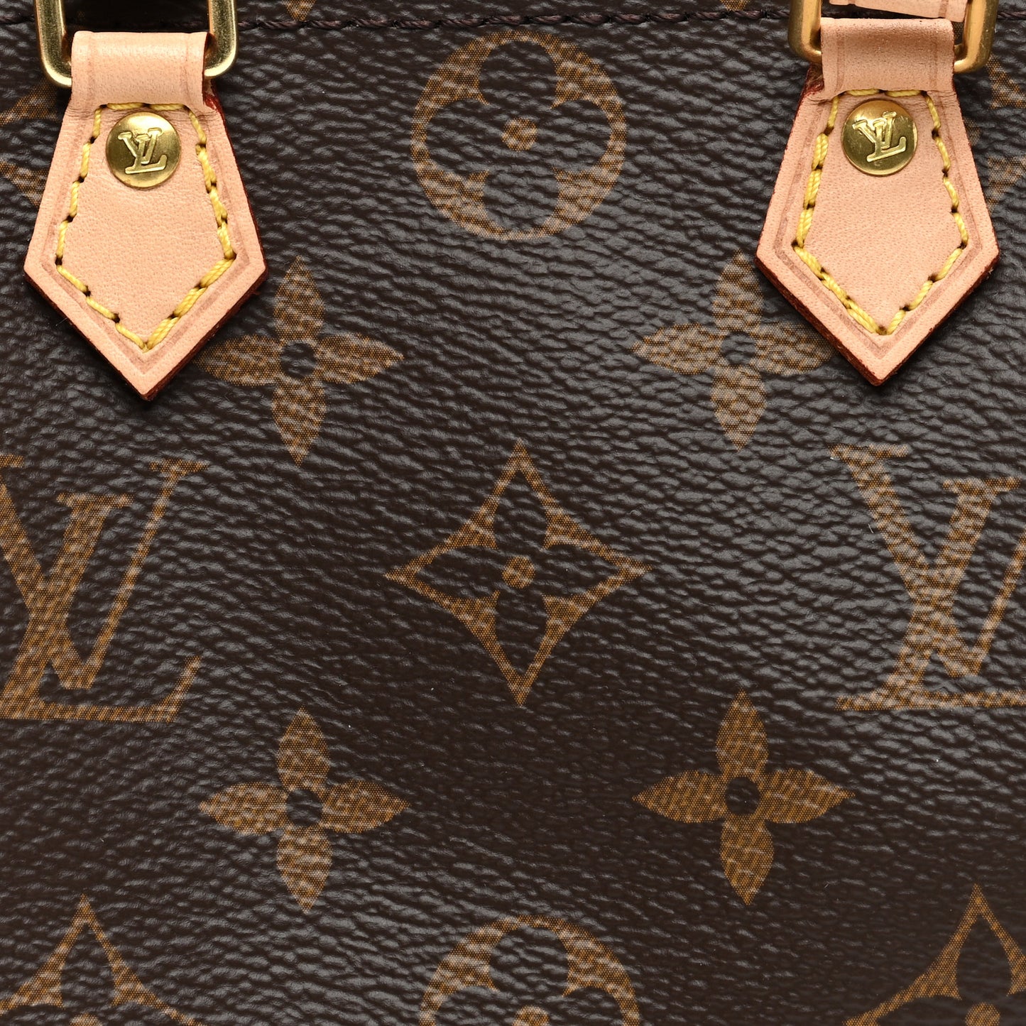 Monogram Nano Speedy