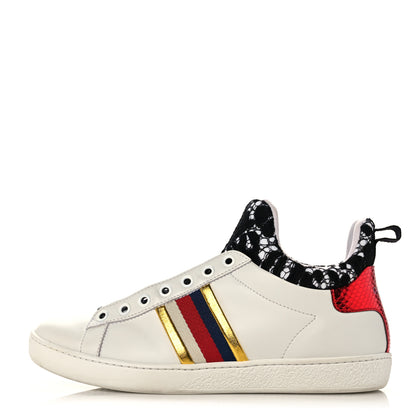 Gucci Calfskin Lace Ayers Sylvie Web New Womens Ace High Top Sneakers 37 White 1 of 10