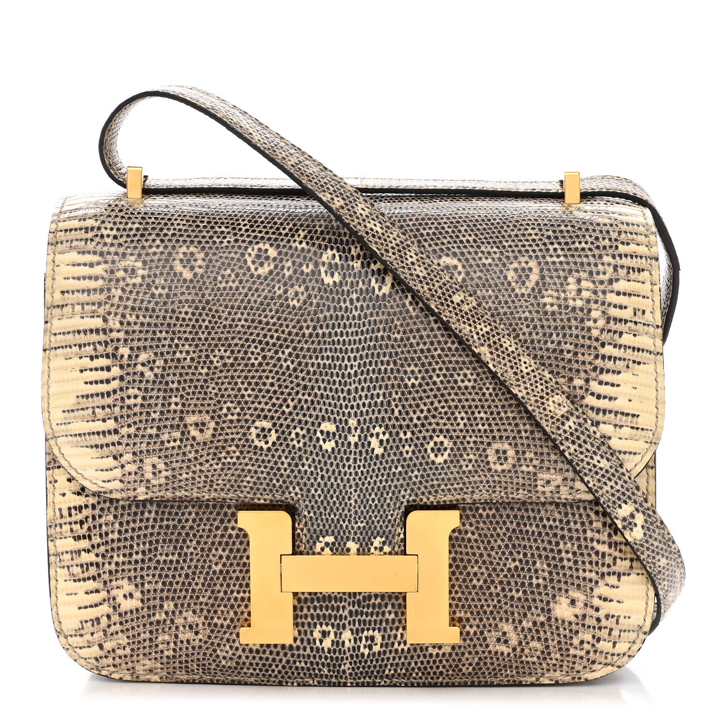 Hermes Lizard Constance 18 Ombre 1 of 11