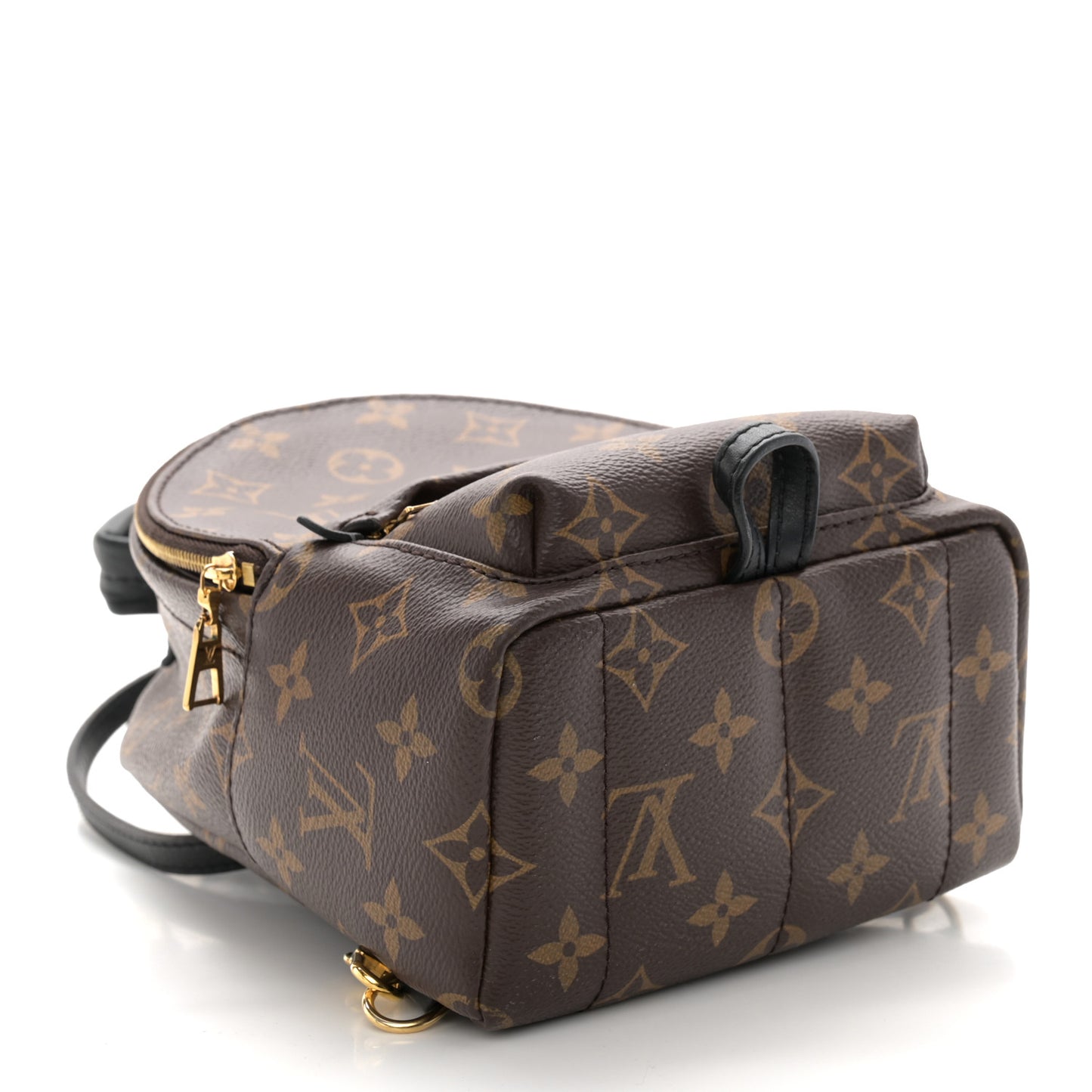 Monogram Palm Springs Backpack Mini