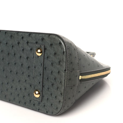 Louis Vuitton Ostrich Alma PM 8 of 8