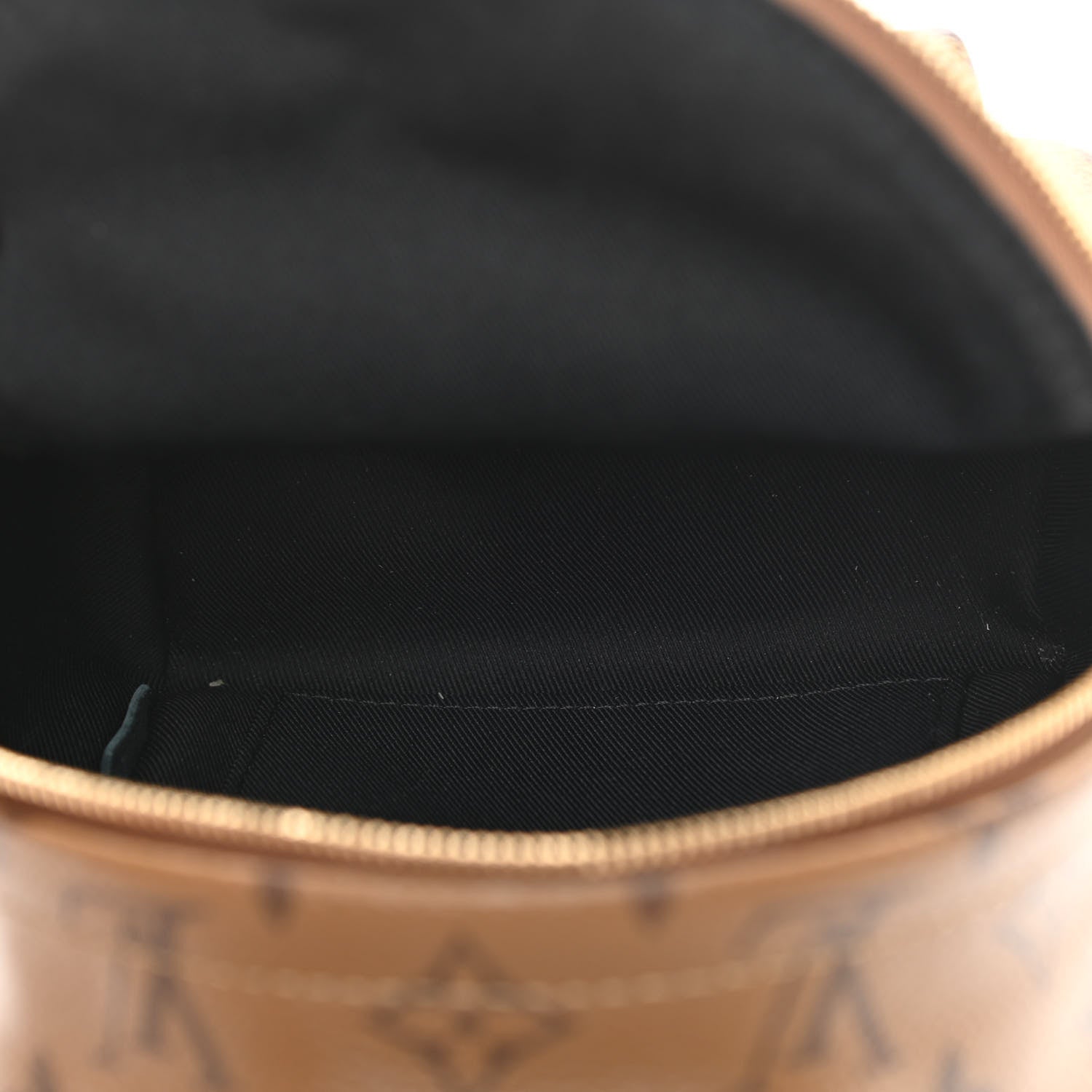 Louis Vuitton Reverse Monogram Palm Springs Backpack Mini 5 of 10