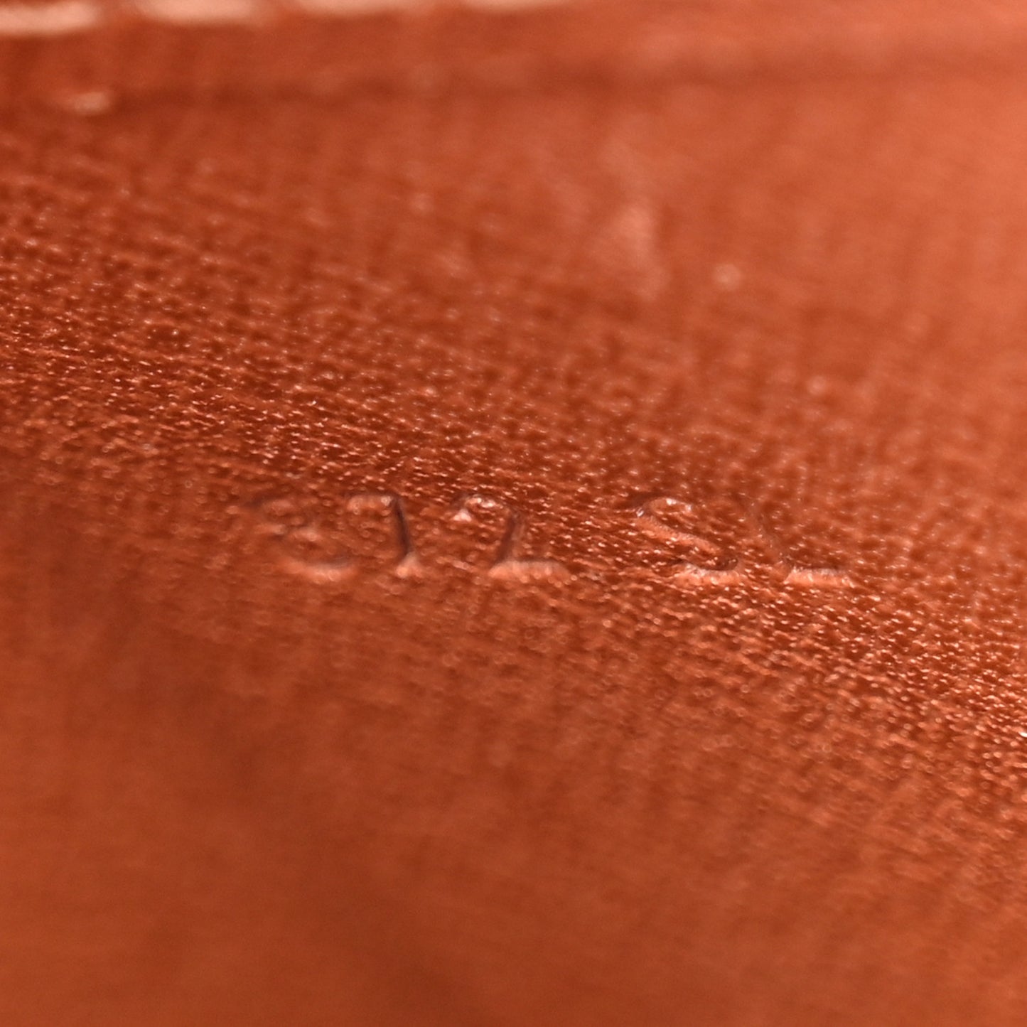 Monogram Cartouchiere 22