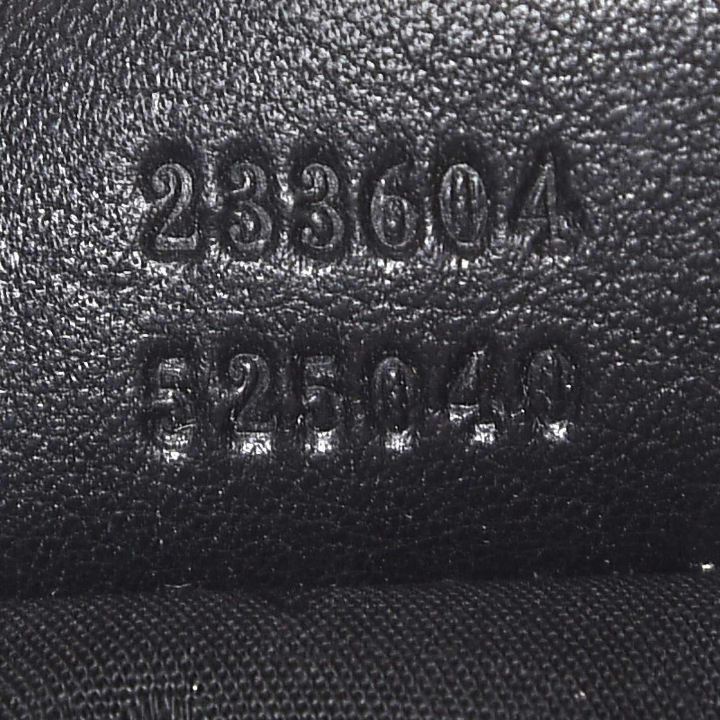 Guccissima Large New Ladies Web Hobo Black