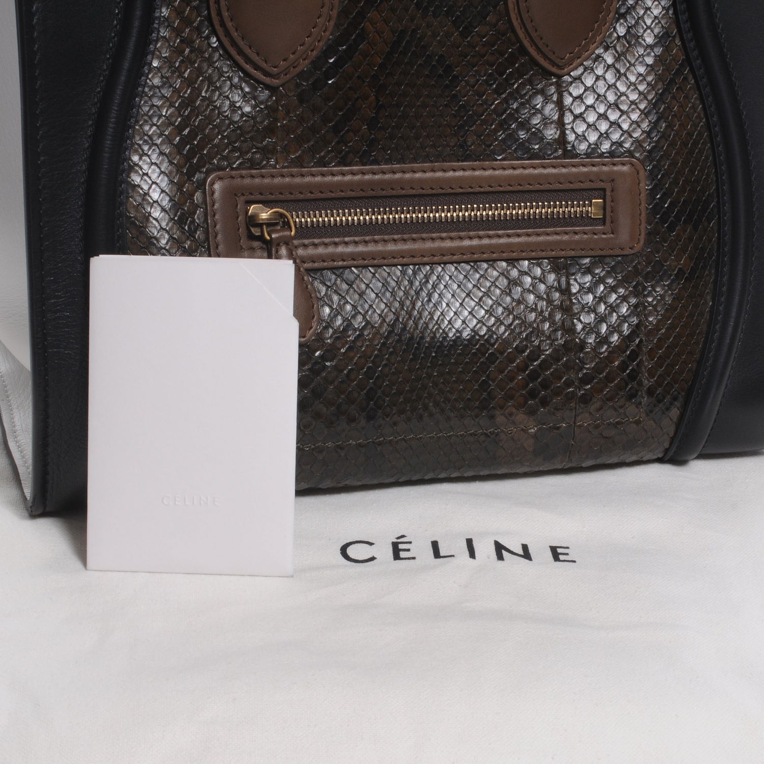 Celine Python Mini Tri-Color Luggage Green 7 of 10