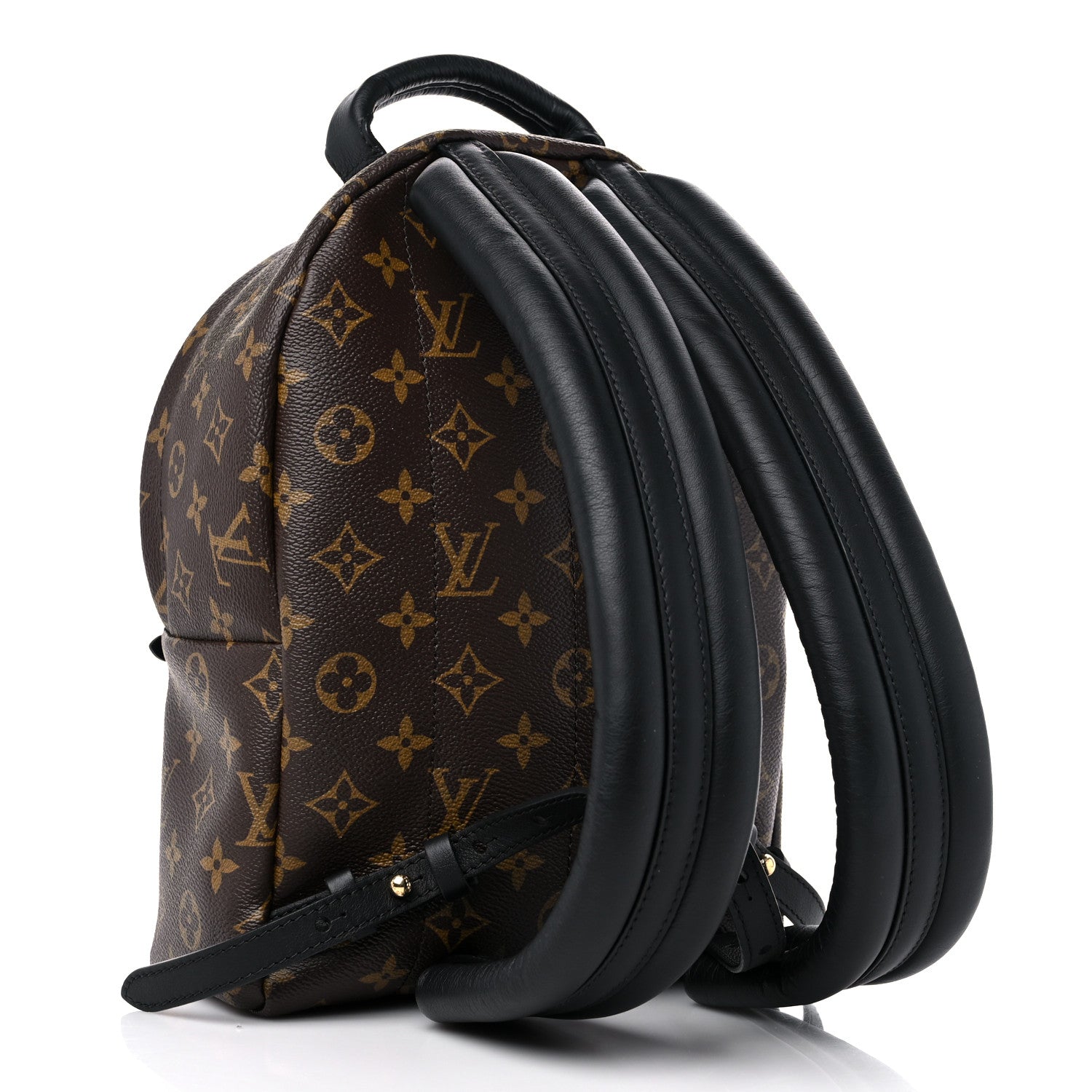 Louis Vuitton Reverse Monogram Palm Springs Backpack PM 3 of 8