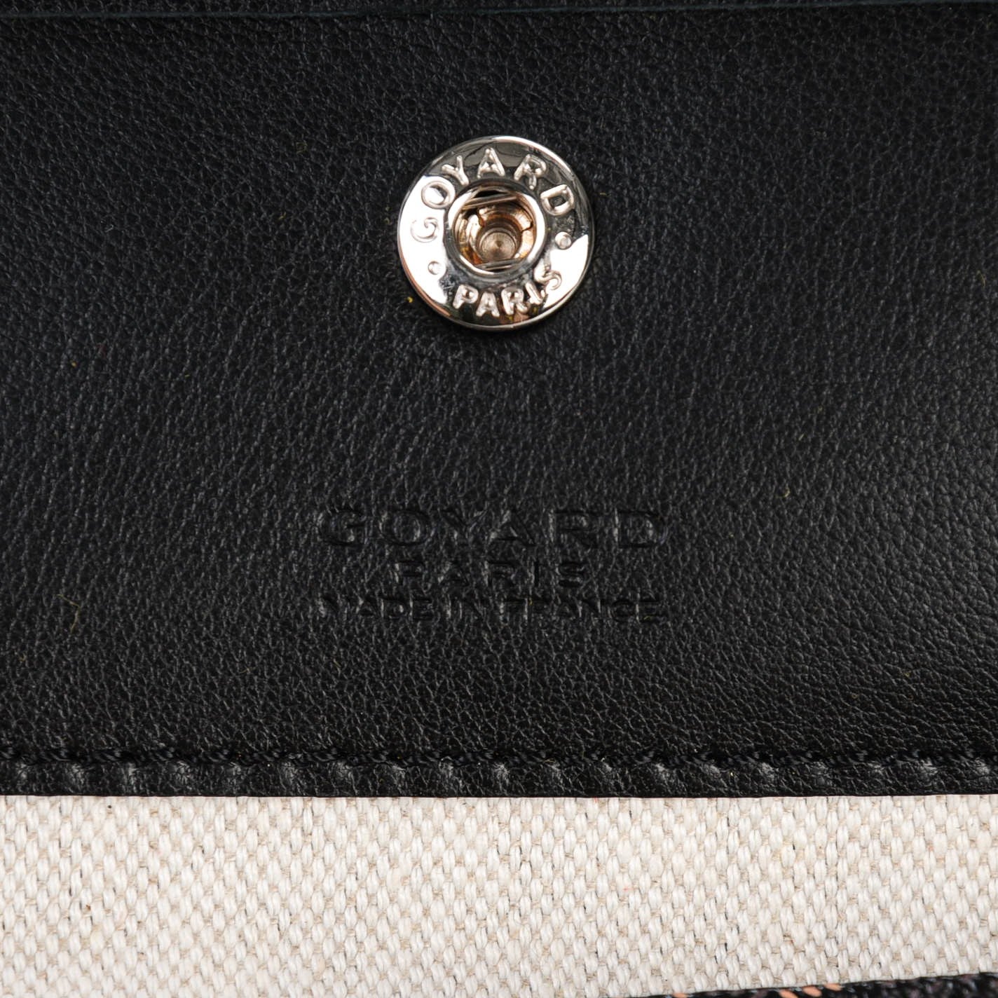 Goyard Goyardine Saint Louis PM Black 8 of 9