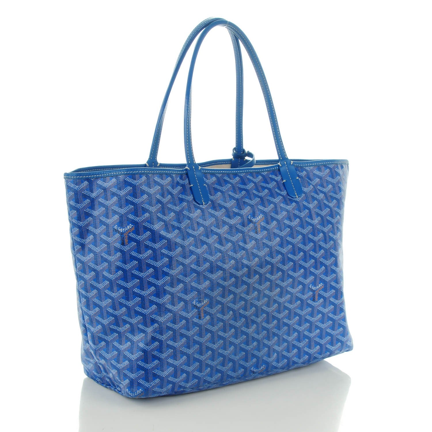 Goyard Goyardine Saint Louis PM Sky Blue 4 of 8
