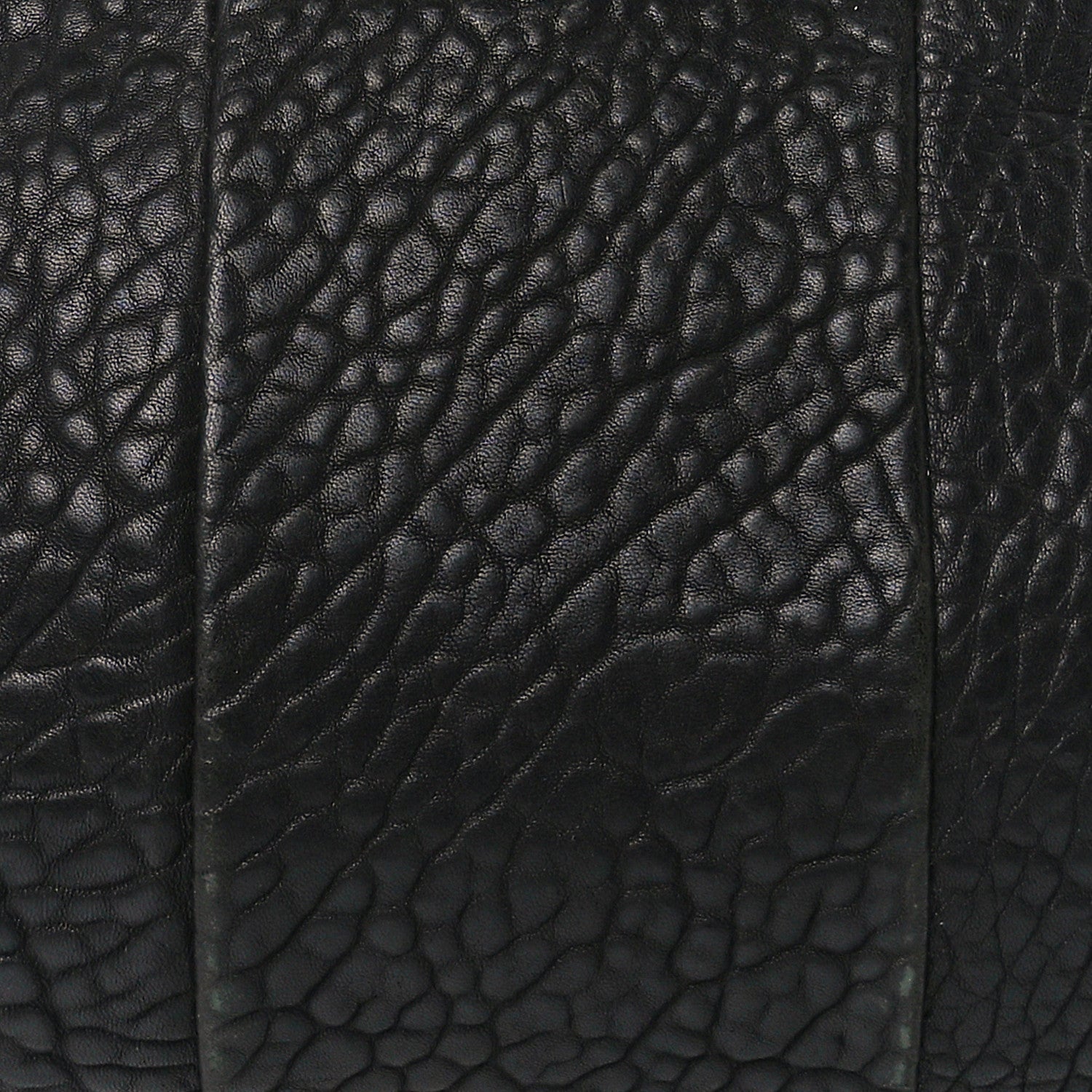 Alexander Wang Pebbled Lambskin Rockie Black Antique Brass Hardware 7 of 11