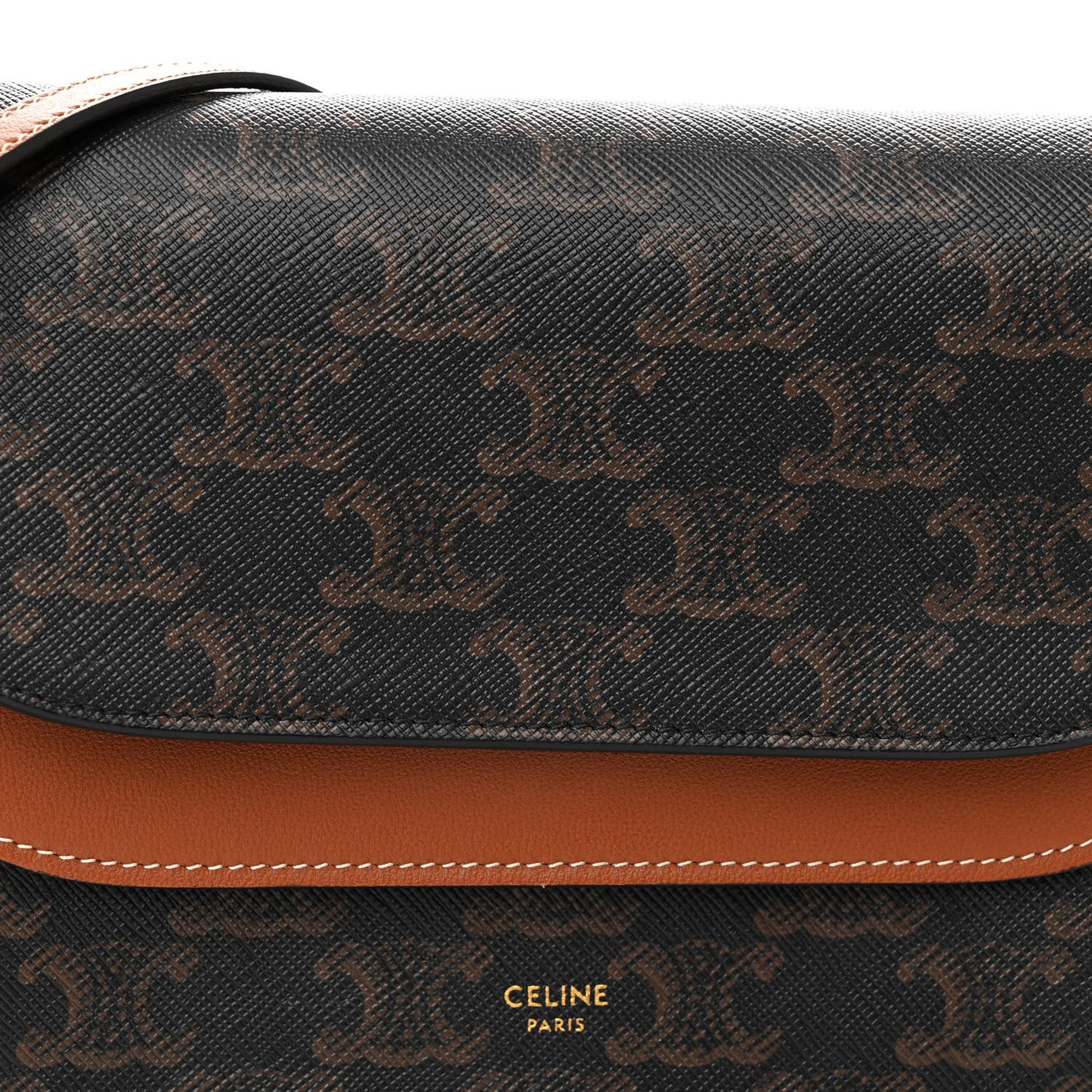 Triomphe Canvas Lambskin Wallet On Strap Tan