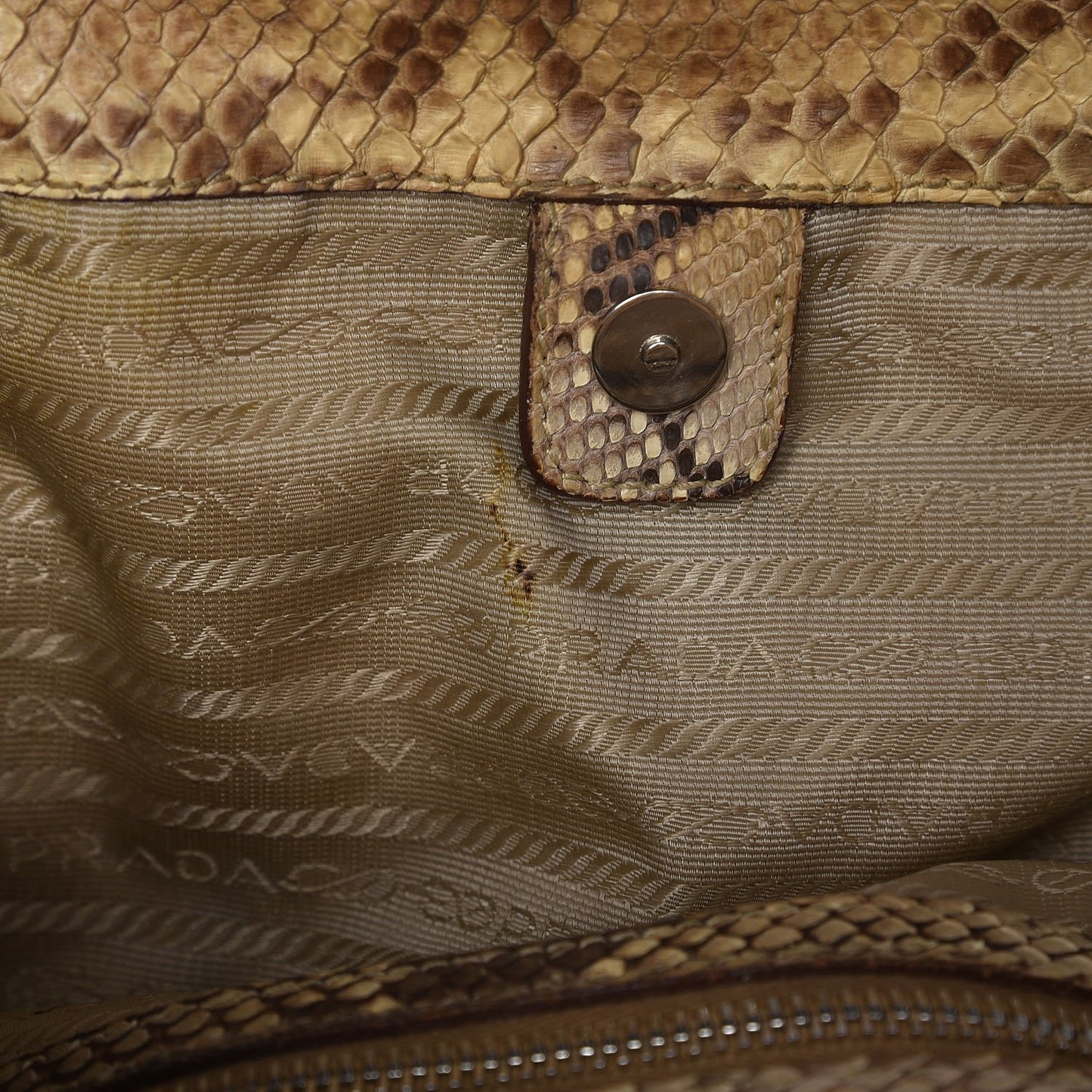 Python Logo Hobo Roccia