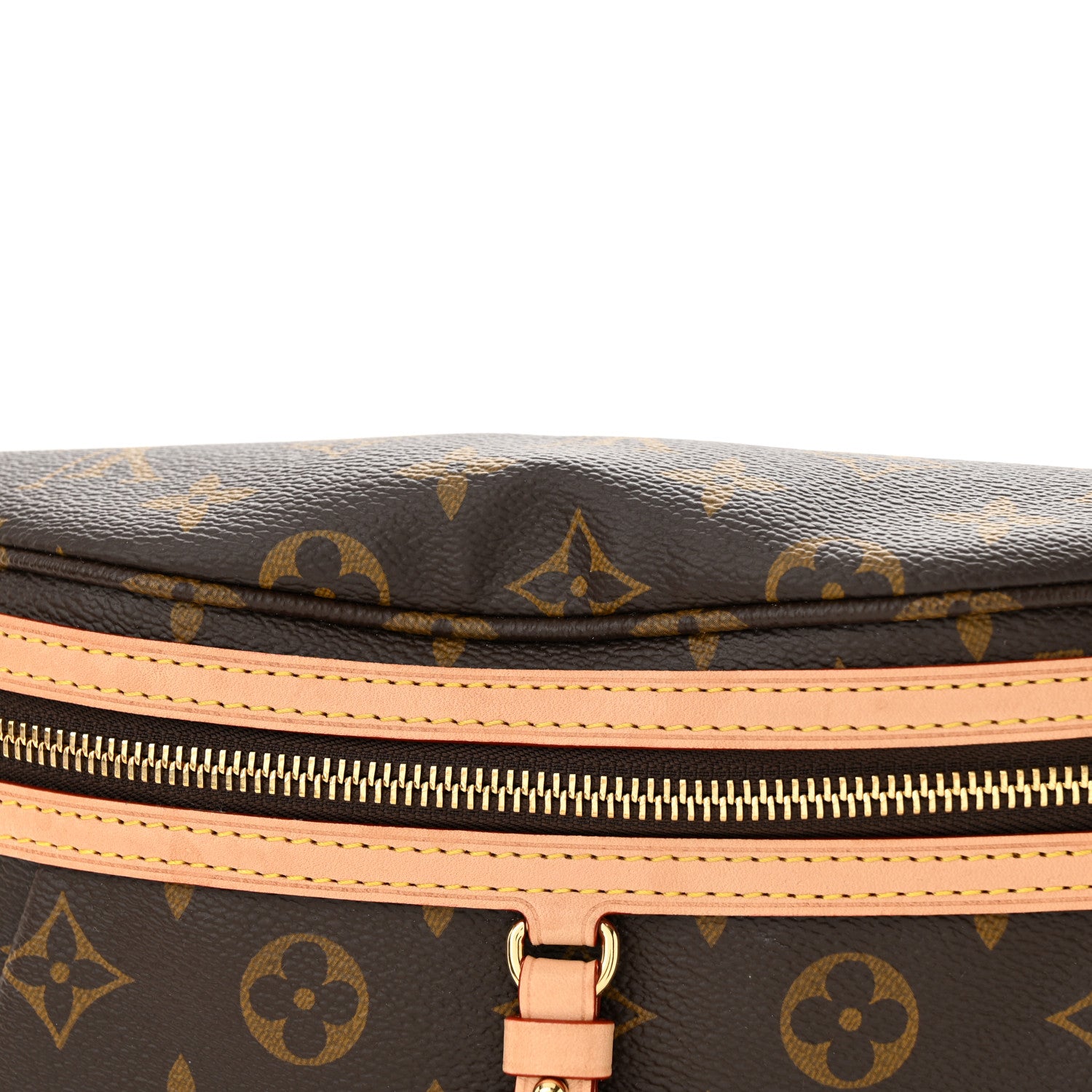 Louis Vuitton Monogram High Rise Bumbag 11 of 11