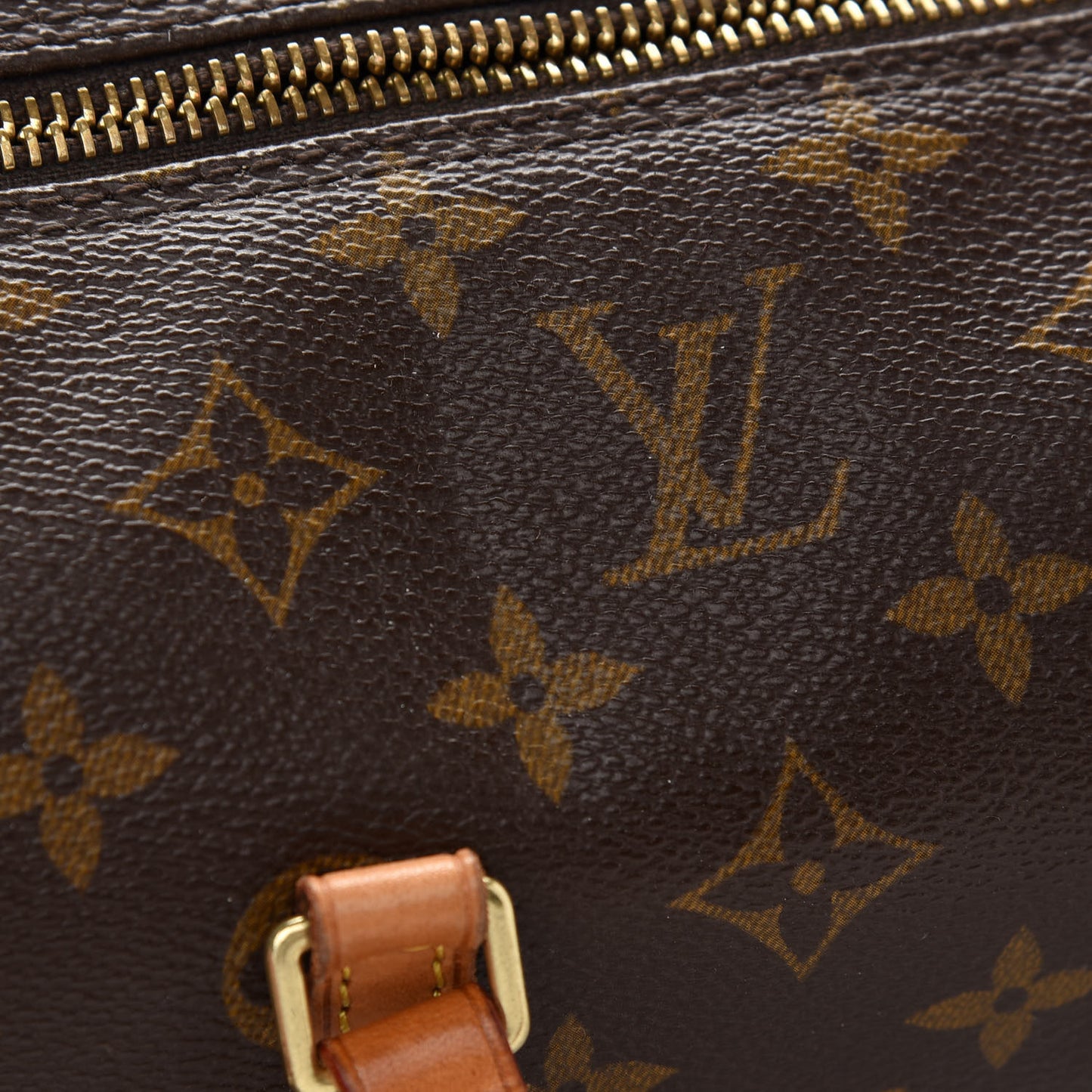 Monogram Papillon 30 With Companion