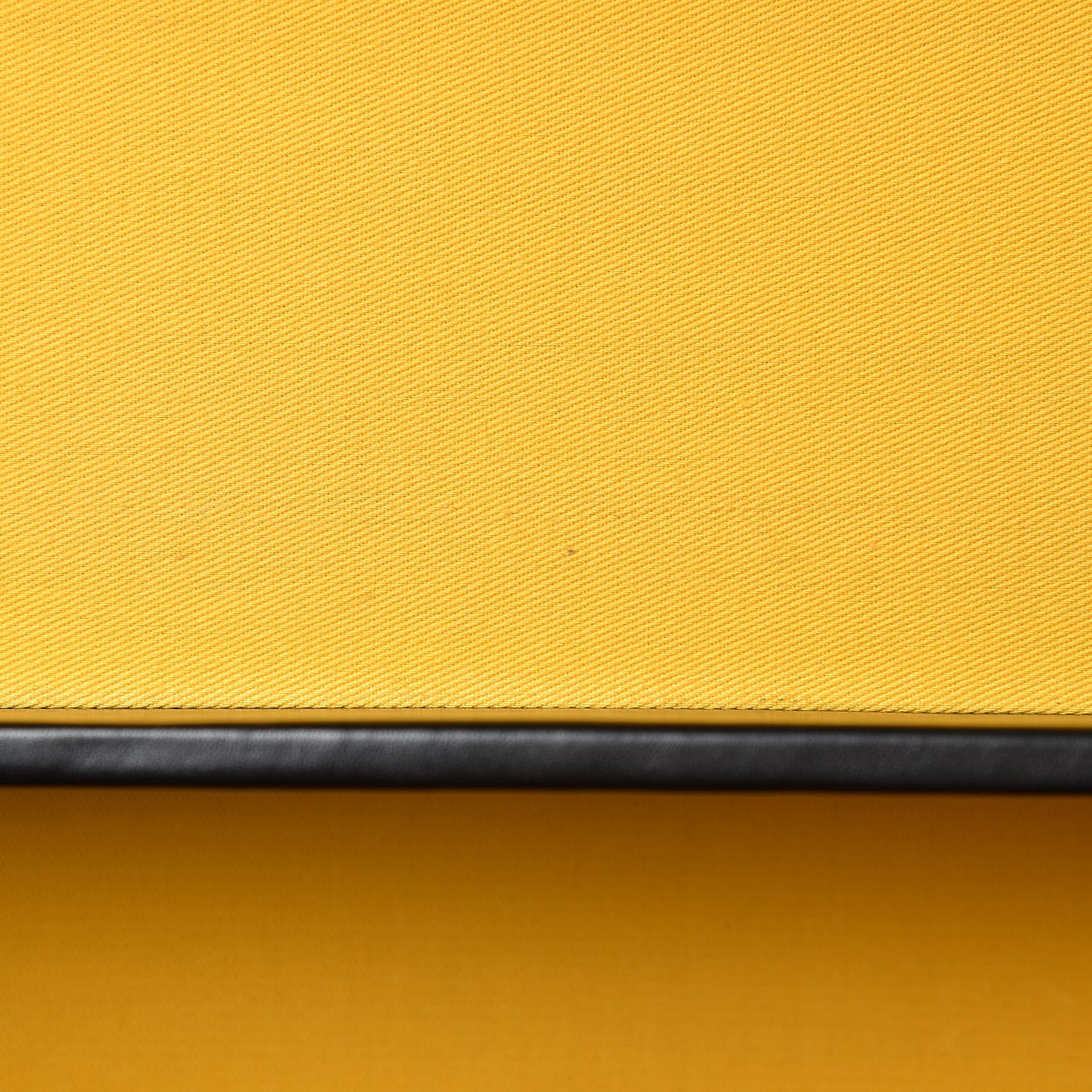 Goyardine Sardaigne Train Case Black