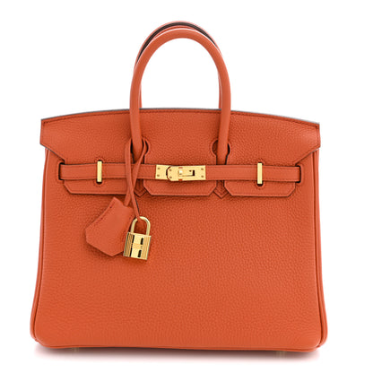 Hermes Togo Birkin 25 Terre Battue 1 of 10