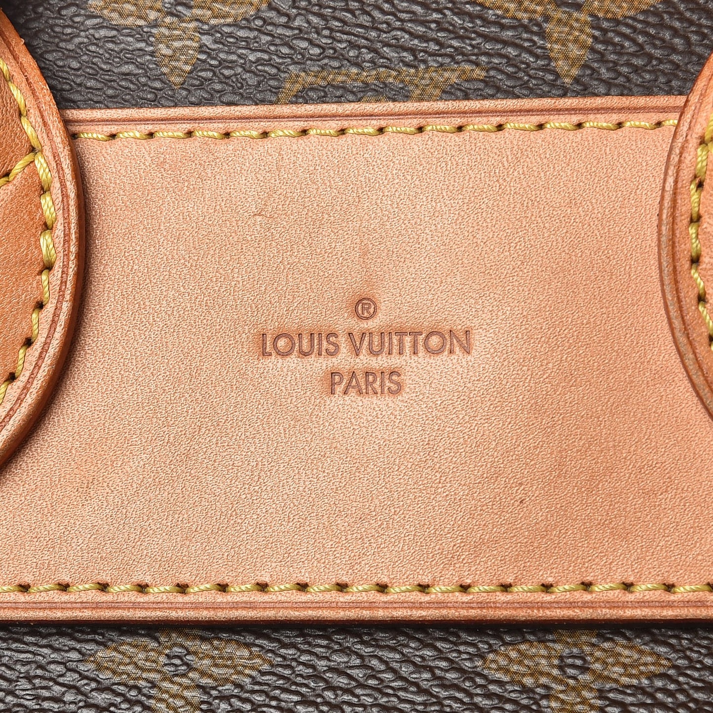 Monogram Eden MM Camel