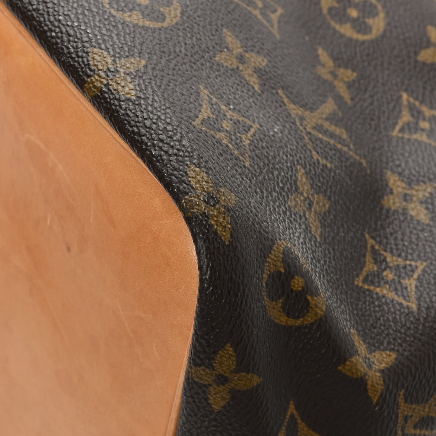 Monogram Petit Noe