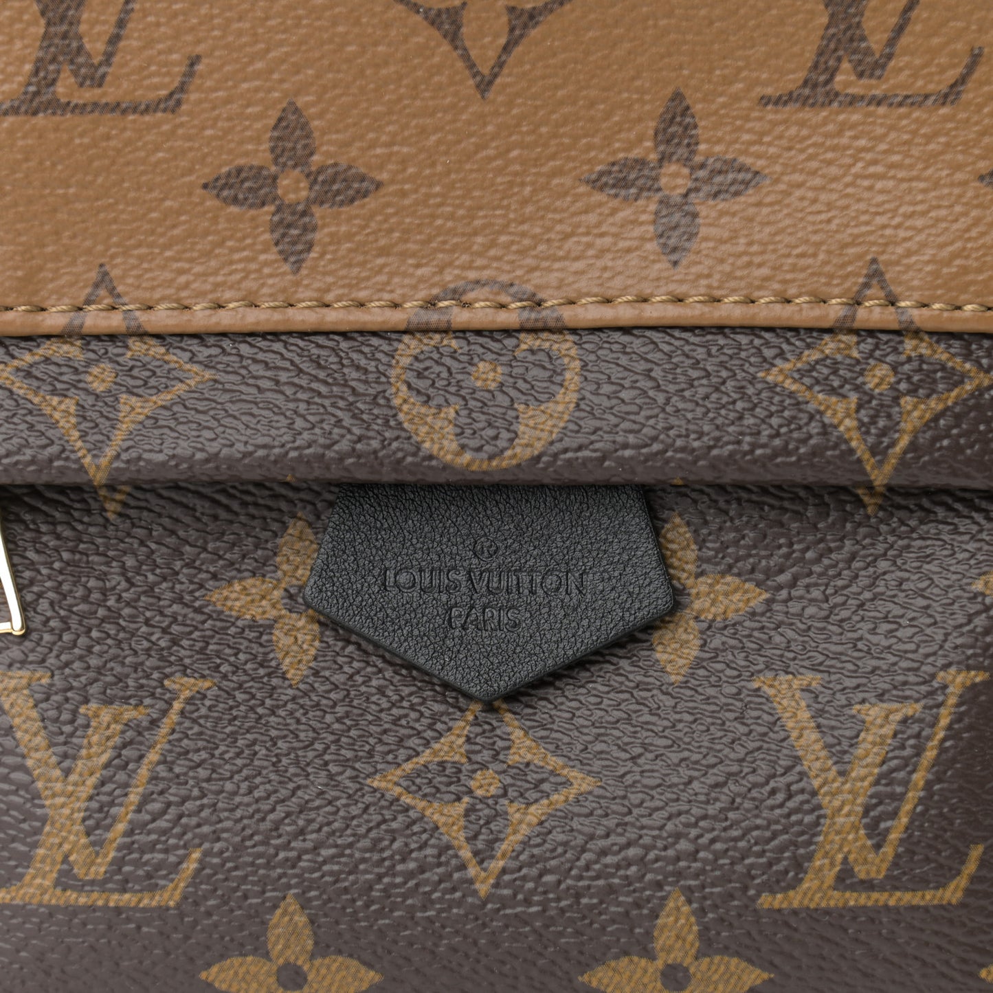 Reverse Monogram Palm Springs Backpack Mini