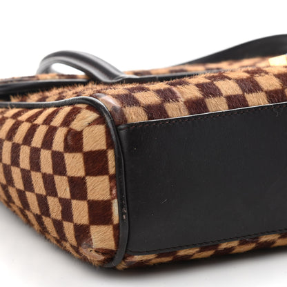 Louis Vuitton Damier Calf Hair Sauvage Lionne 13 of 14