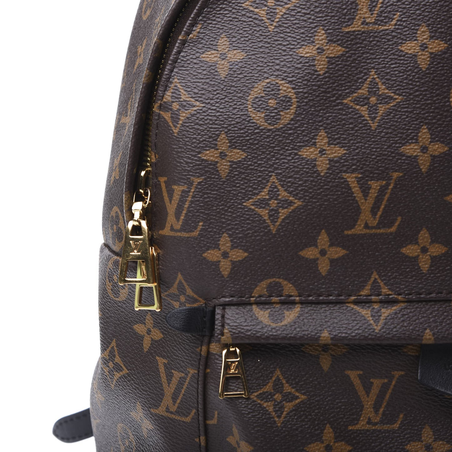 Monogram Palm Springs Backpack MM