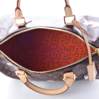 Louis Vuitton Catogram Speedy Bandouliere 30 Marron 7 of 9