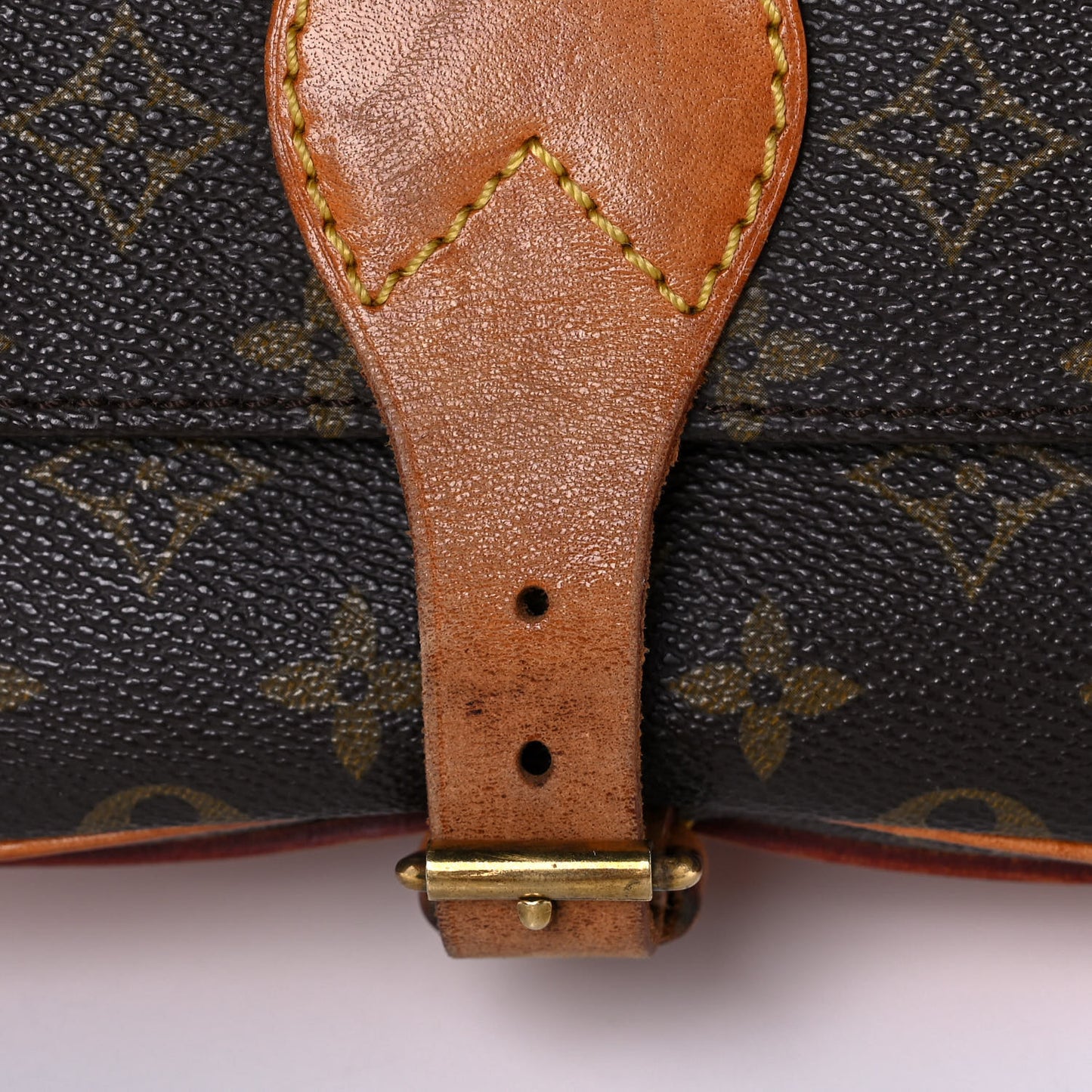 Monogram Cartouchiere 22